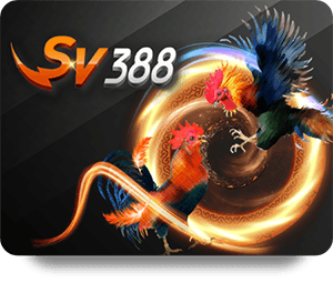 Cách chơi bài poker trực tuyến hiệu quả cho người chơi thông minh
